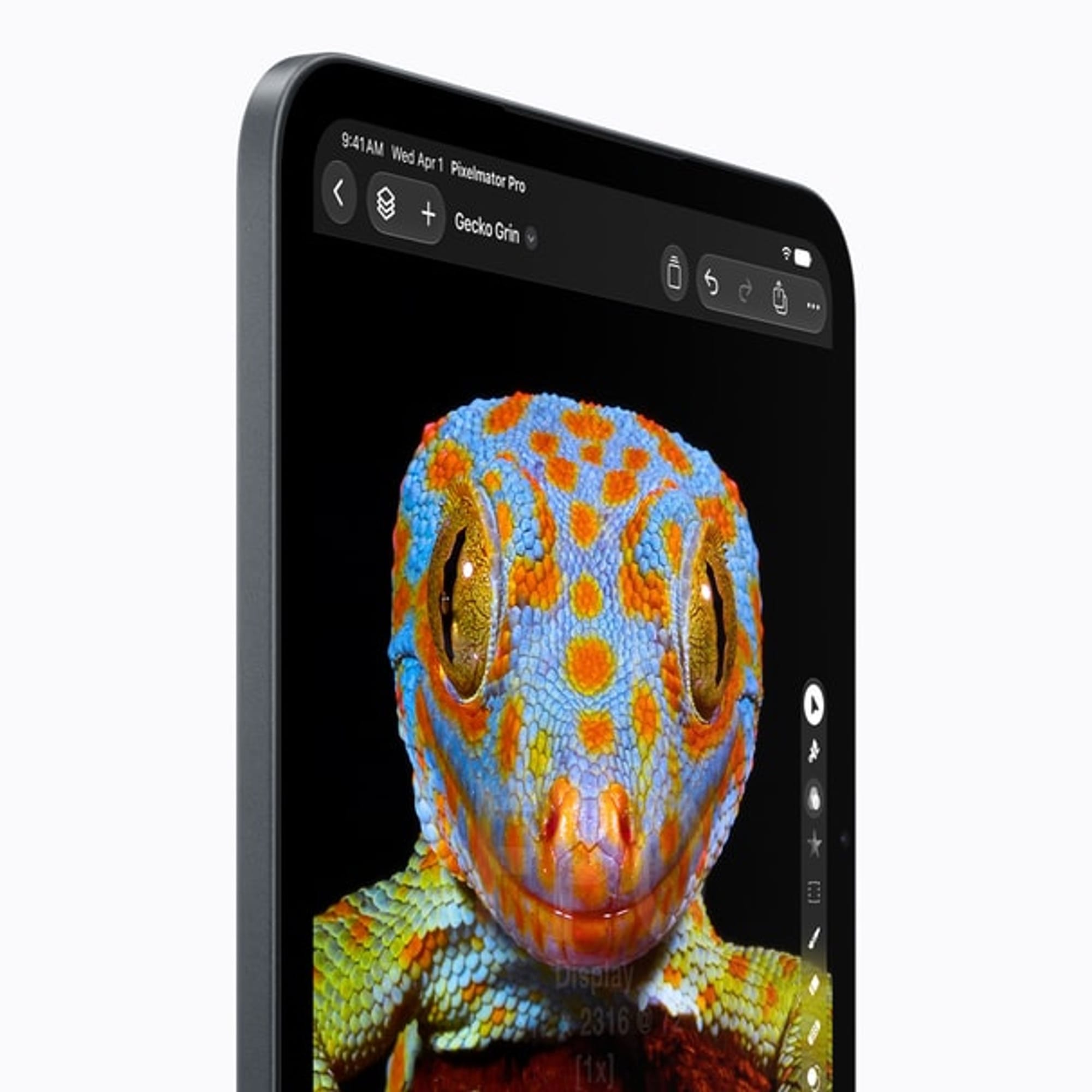Close up of the new iPad mini OLED display showing a detailed gecko